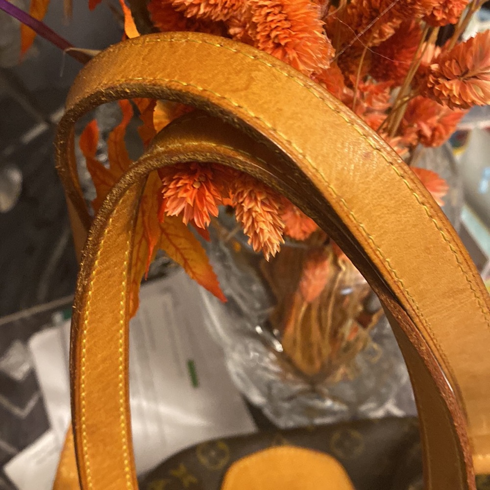 LOUIS VUITTON Stresa PM BEAUTIFUL! - Picture 5 of 16